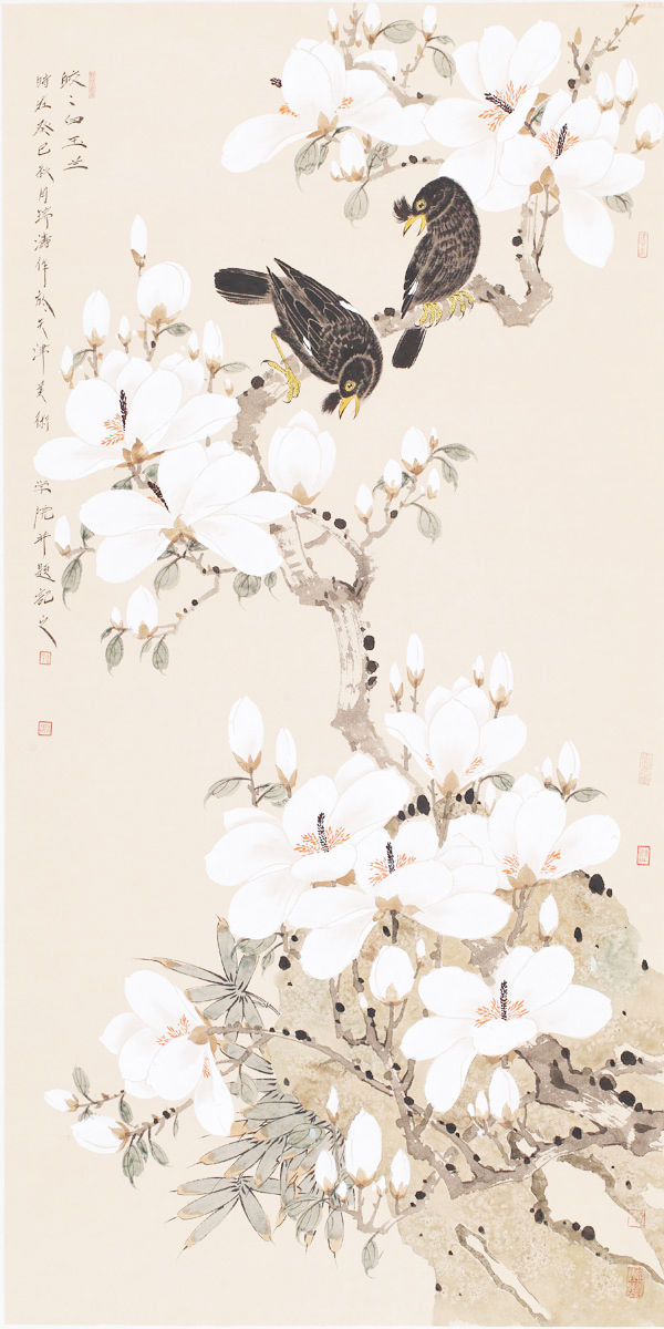 白玉兰