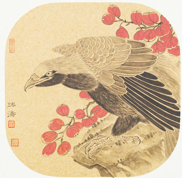 鹰击长空