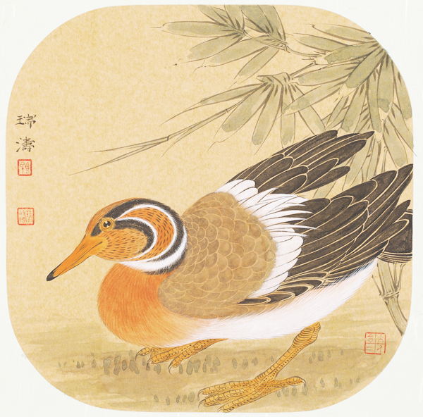 红楼斜倚连溪曲