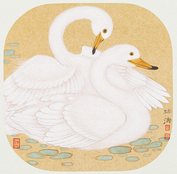 双宿双飞