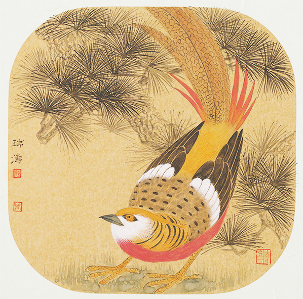 锦鸡